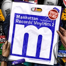 THE EXCLUSIVES VINYL HITS VOL.2